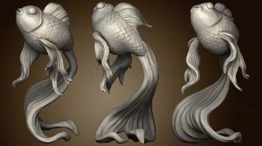 3D мадэль Золотая рыбка (STL)